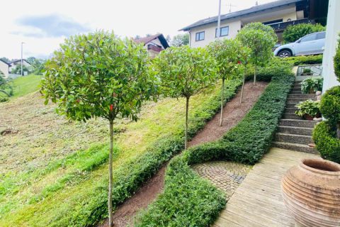 GartenGruen25_2