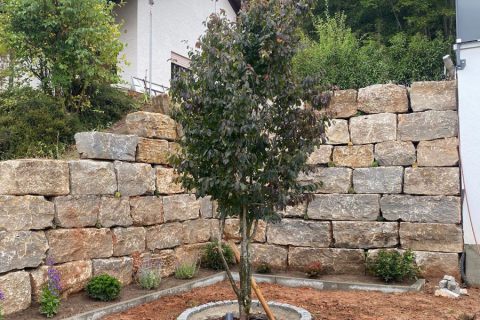 Mauern25_5
